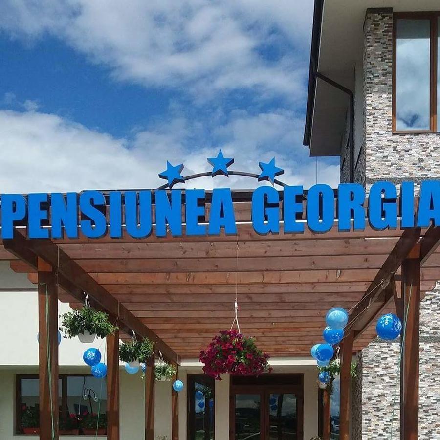Pensiunea Georgia Lunguletu Bagian luar foto